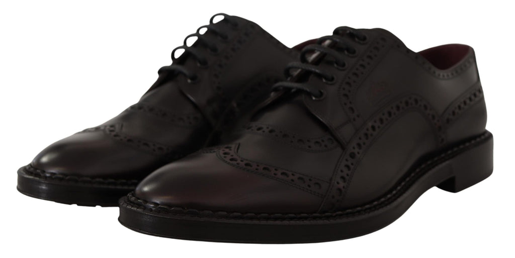 Dolce & Gabbana Lila Leder Oxford Wingtip Formelle Schuhe