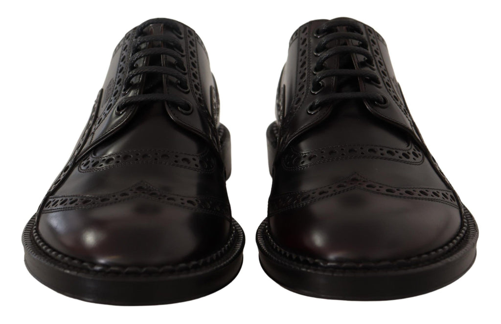 Dolce & Gabbana Lila Leder Oxford Wingtip Formelle Schuhe