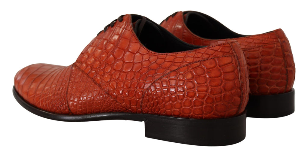 Dolce & Gabbana Orangefarbene Derby-Schuhe aus exotischem Leder